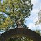 Hinton Cemetery