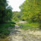 Doctors Creek in Drought