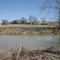 Doctor's Creek Looking East