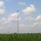 leighton Sugar cane fields Celluar Tower