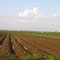 Louisiana Sugar Plantation