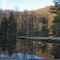 Pond Near Gerton, NC