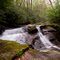 Waterfall near Bat Cave North Carolina