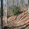 North Carolina Trail