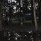Small canal behind camps at dusk