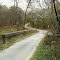 Bucolic Reno Road