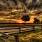 Sunrise in Wyanet, Illinois