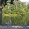 Miller's Grove on East Fork Lake