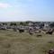 Parade (McVille, ND)