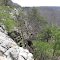 Jones-Keeney WMA - Hunter's Bluff
