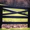 Crossbuck fence by marylandhorsefencing.com