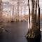 Near IR of Roanoke River.