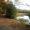 Caledon Natural Area State Park, King George, VA