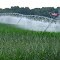 This sprinkler is bigger than my home's one