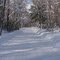 Thunder Lake road near Steuben