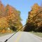 Fall color on the 437 from car-U.P. Michigan