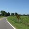 Curve right on Riethmiller Rd