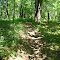 Trail in Waterloo State Park