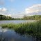Walsh Lake