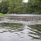 Cannon River