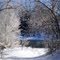 Cannon Falls River 001