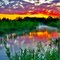  Creek bank awakening