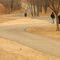 Walking Trail, Lochness Lake Park, Blaine, Minnesota