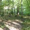 Sep 2007 - Monticello, Minnesota. Woods around the group camp in Lake Maria State Park.