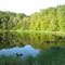 Sep 2007 - Monticello, Minnesota. Late summer green reflections on a small lake in Lake Maria State Park.