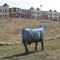 Winter at New Town Prairie