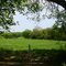 Richwoods Farm Tour