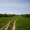 Richwoods Farm Tour