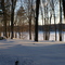 Promised Land Morning