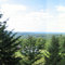 View From Panther PA