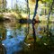 Promise Land State Park reflections