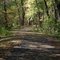 Northwest Lancaster County River Trail