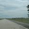 Tree past Dawson exit