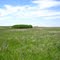 Native prairie at Sullys Hill WPA