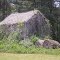 Kudzu Don't Tread on me!---st