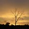 After Rain