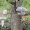 Ornaments in the tree
