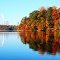 Fall leaves at Belews Lake