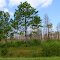 Holly Ridge, North Carolina