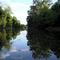 Flat River Reflections