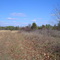 Pasture at Penny's Bend