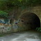 Pearson Falls Rd. Passing under the Saluda Grade