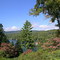 Lake Summit