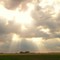 Rays