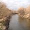 Turtle River