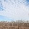 Chimney in a Field
